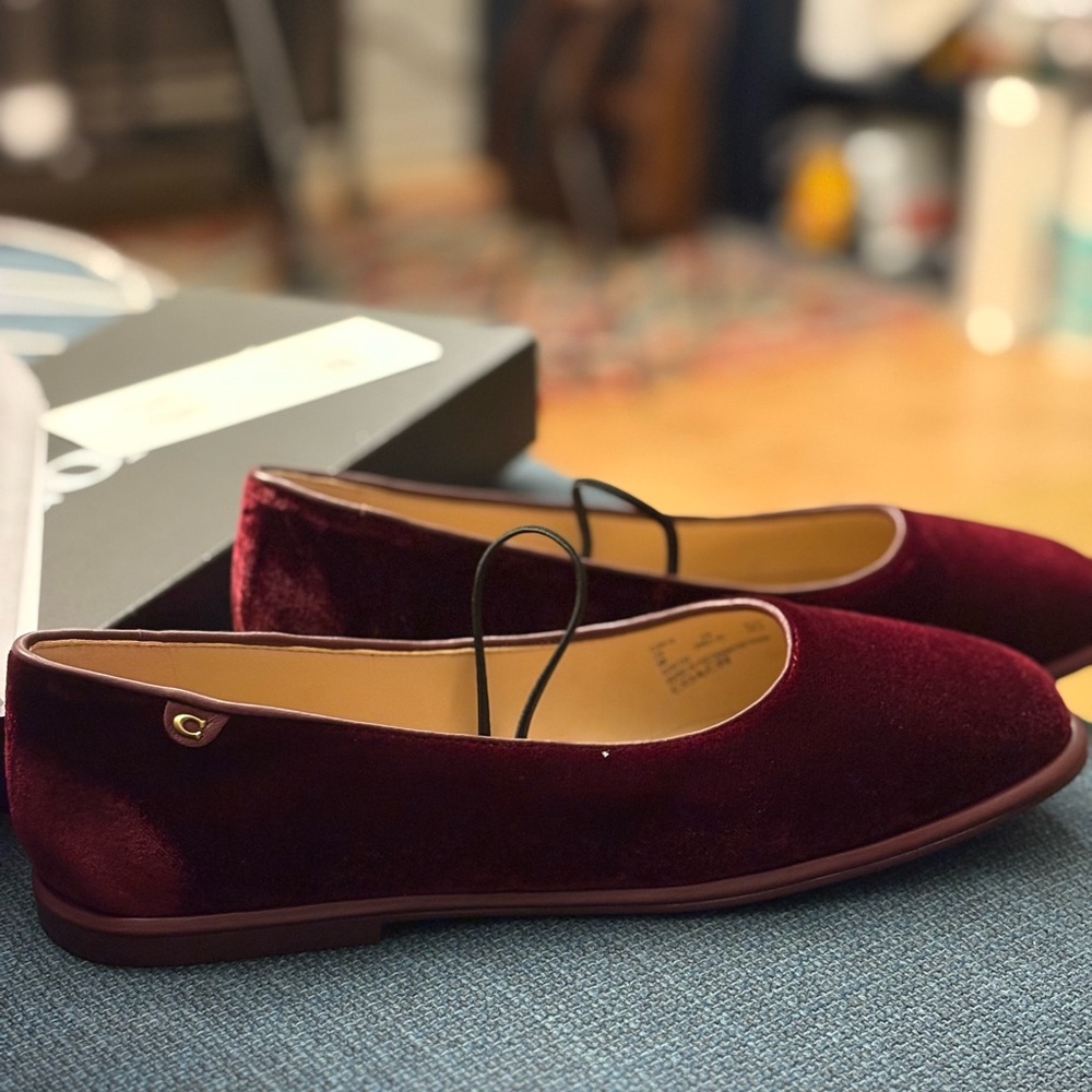 Coach Women's Emilia Velvet Mary Jane Deep Red/ Merlot Velvet Loafers